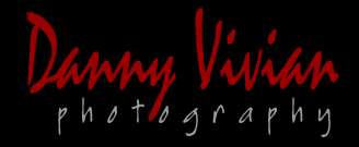 Danny Vivian red letter logo